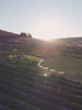 le miel artisanal apis montis video