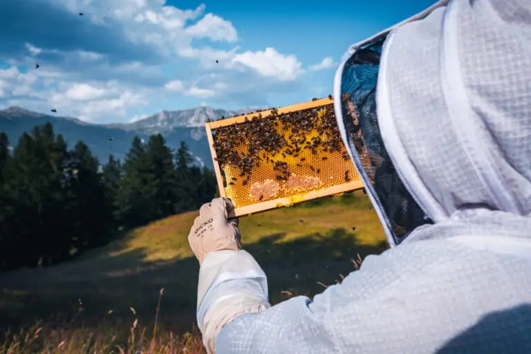 apiculteur et abeilles